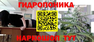 стафф Пушкино